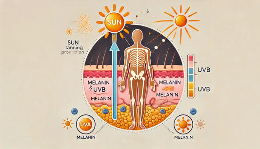 The Science Behind Sun Tanning